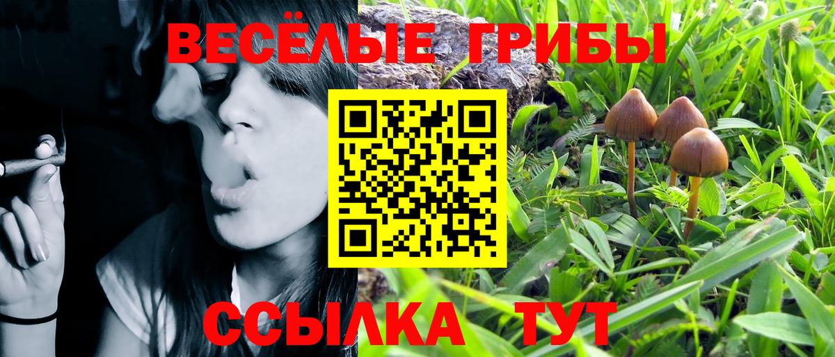 Галлюциногенные грибы ЛСД Казань